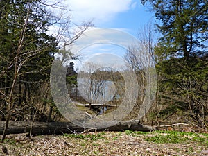 Beebee Lake habitat surrounded by Cornell University