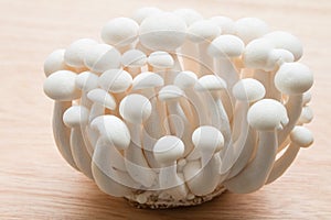 Beech mushrooms