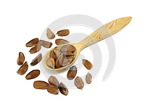 Beech nuts in a wooden spoon