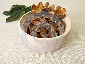 Beechnuts from the beech in a wooden bowl