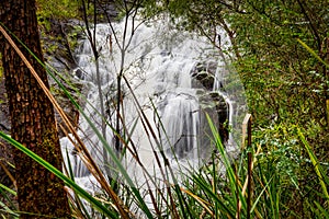 Beedelup Falls, a small and attractive series of rocky cascades near Pemberton WA