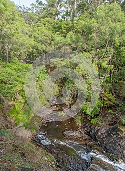 Beedelup Falls in Western Australia