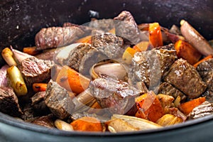 Beef bourguignon closeup