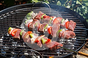 Beef brochette on barbecue