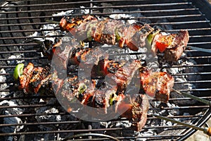 Beef brochettes on barbecue