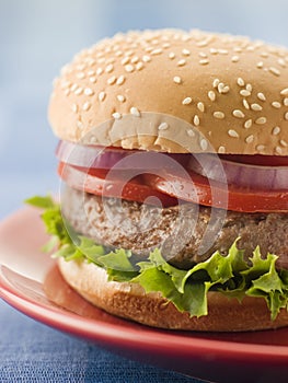 Beef Burger in a Sesame Seed Bun