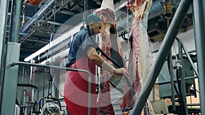Beef carcasses are getting washed by a plant employee