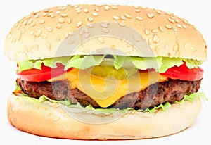 Beef and Cheese Hamburger