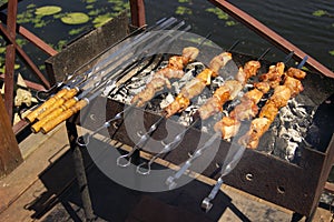 Beef or chicken meat on barbeque outdoor