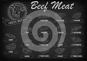 Beef cow bull whole carcass cuts cut parts infographics scheme s