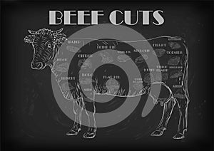 Beef cow bull whole carcass cuts cut parts infographics scheme s