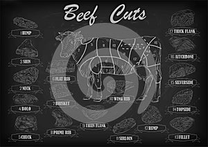 Beef cow bull whole carcass cuts cut parts infographics scheme s