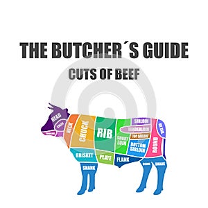 Beef Cut of meat . Butcher diagram, scheme