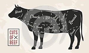 Meat cuts. Beef cuts. Vintage Poster for Restaurant or butcher shop. Retro diagram. Vector illustration. photo