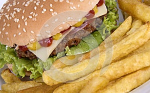 Beef hamburguerwith french fries (2)