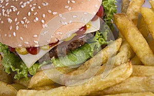 Beef hamburguerwith french fries