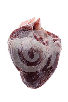 The beef heart