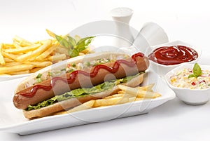Beef Jumbo sausage sandwich with coleslaw & Ketchup & Fries