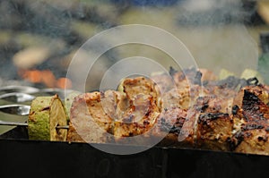 Beef kababs on the grill