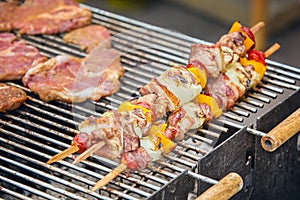 Beef kababs on the grill closeup