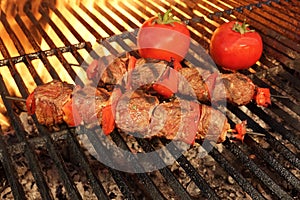 Beef Kebabs With Vegetables On The Hot BBQ Grill