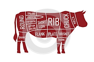 Beef parts of the cow isolated on wite background. red beef meat cuts.