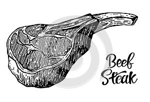 Beef, pork or lamb Red meat hand drawn sketch. Engraved raw food illustration. Butcher shop product. Prime rib steak