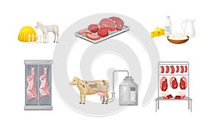 Beef Processing with Cow Grazing, Milking for Dairy Product and Meat Production Vector Set