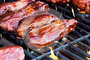 Beef Short RIbs with BBQ Sauce on Hot Grill