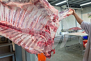 Beef in a slaughterhouse or butcher