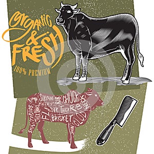 beef slaughtering. Vector illustration decorative design