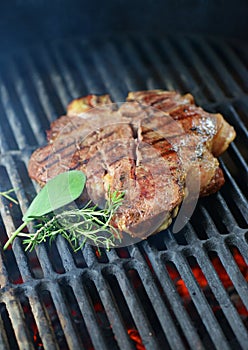 Beef steak grilled on a bbq, florentine t-bone photo