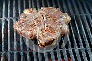 Beef steak grilled on a bbq, florentine t-bone photo