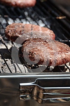 BBQ two Beef steak kebab on fire on picnic