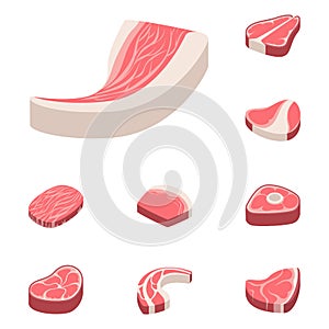 Beef steak raw meat food red fresh cut butcher uncooked chop barbecue bbq slice ingredient vector illustration