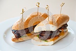 Beef steak sandwich on white plate