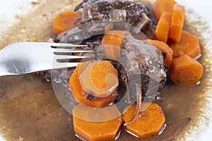 Beef stew bourguignon closeup