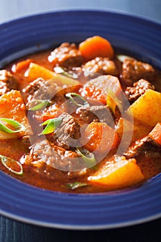 Beef stew with potato and carrot in blue plate