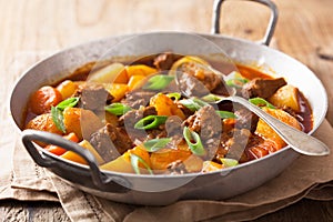 Beef stew with potato and carrot photo