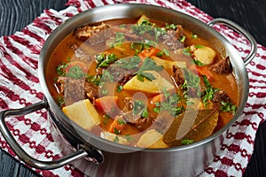 Beef stew with potato and carrots photo