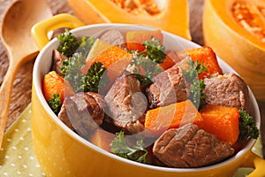 Beef stew with pumpkin macro in a pot. Horizontal