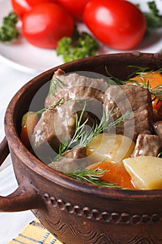 Beef stew with vegetables in a pot vertical