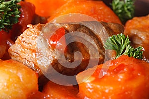 Beef stew with vegetables in a tomato macro