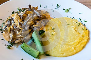 Beef stroganoff with mashed potatoes and cucumber