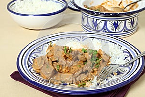 Beef stroganoff meal horizontal