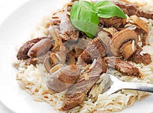 Beef Stroganoff with rice