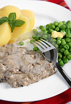 Beef stroganoff vertical