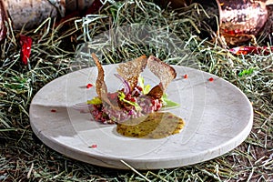 Beef tartare with sauce on a white plate in the hay