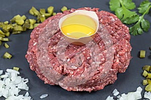 Beef tartare steak