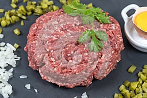 Beef tartare steak